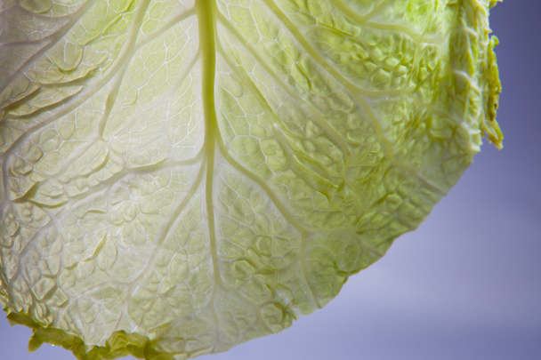 Cabbage leaf - Zdjęcie, obraz