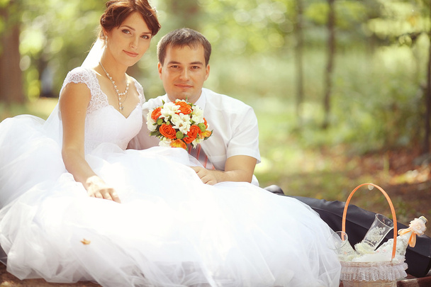 Pareja de boda
 - Foto, Imagen