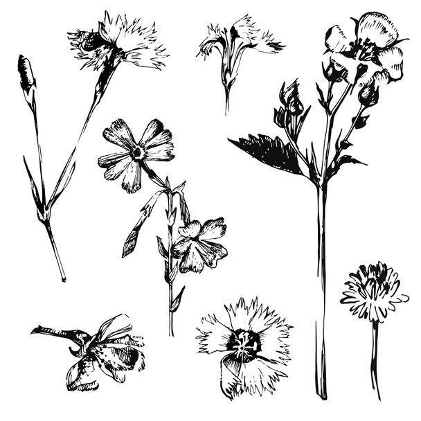hand drawn spring flowers - Vektori, kuva