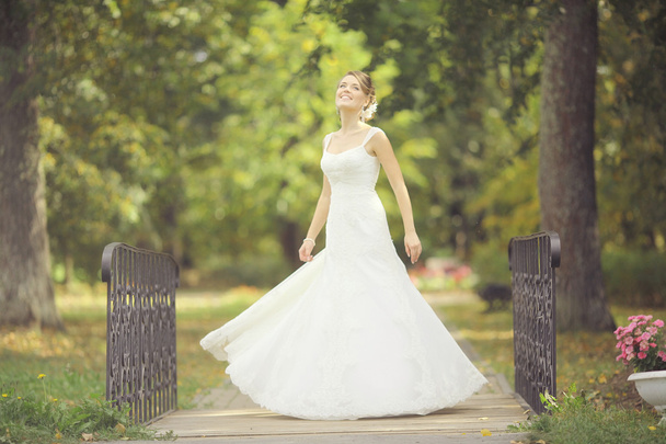 Bride in park - Photo, Image