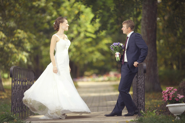 Wedding couple in park - Foto, Imagen