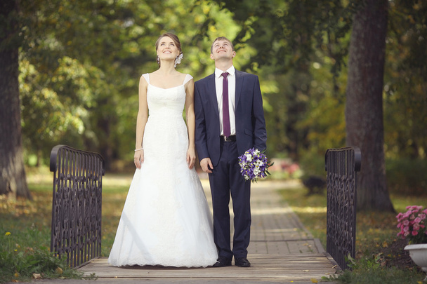 Wedding couple in park - Фото, изображение