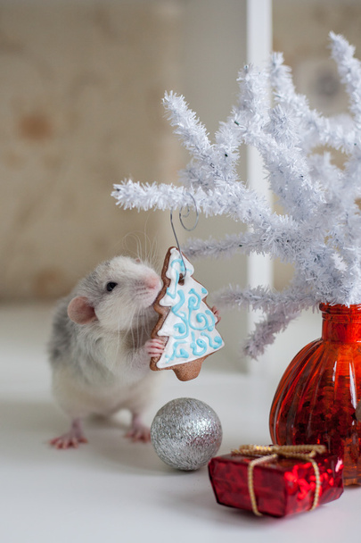 Cute funny rat on a background of Christmas decorations - Fotoğraf, Görsel