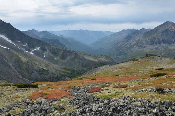 Prairies alpines coloration d'automne Barguzinsky Ridge sur le lac Baïkal
. - Photo, image