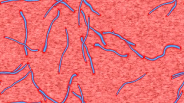Vidéo en boucle sans couture générée par Ebola
 - Séquence, vidéo