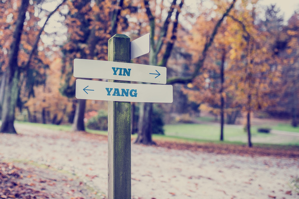 Przeciwnych kierunkach kierunku Yin i Yang - Zdjęcie, obraz