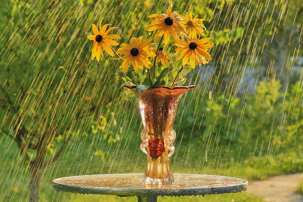 Nyári eső és sárga virágok - Fotó, kép