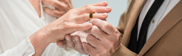 cropped view of groom wearing golden engagement ring on finger of bride in white dress isolated on grey, banner - Fotó, kép