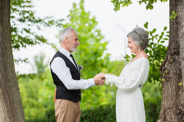 side view of cheerful mature man in formal wear holding hands with smiling bride in wedding dress in garden - Foto, Bild