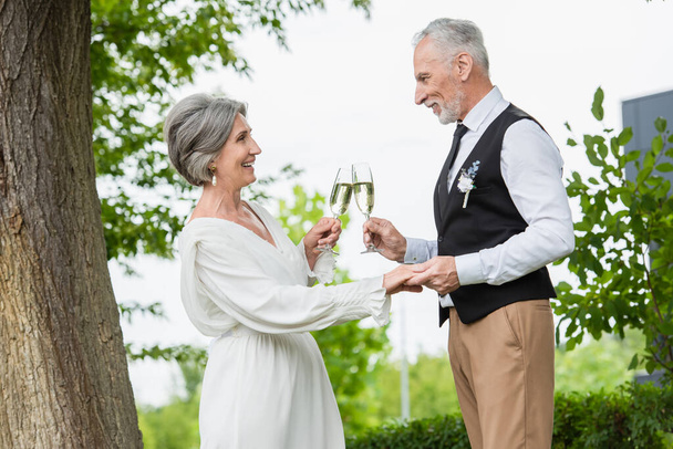 side view of happy and middle aged newlyweds holding glasses of champagne in green garden  - Photo, Image