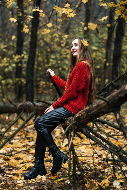 Осенний портрет откровенной красивой девушки с опавшими листьями в волосах. Портрет счастливой женщины с длинными волосами в осеннем парке - Фото, изображение