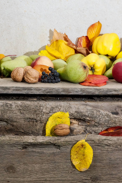 autumn harvest on the wooden board. bunch of ripe fruits. natural grown healthy food and sustainable living - Foto, imagen
