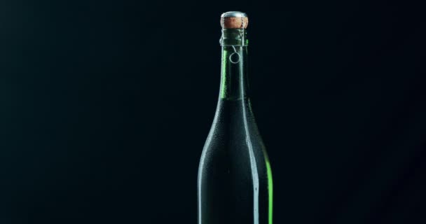 Champagne bottle, alcohol and booze isolated on black copy space background in studio for celebration, birthday and party event. Closeup of classy, elegant or sophisticated drink to celebrate success. - Filmmaterial, Video