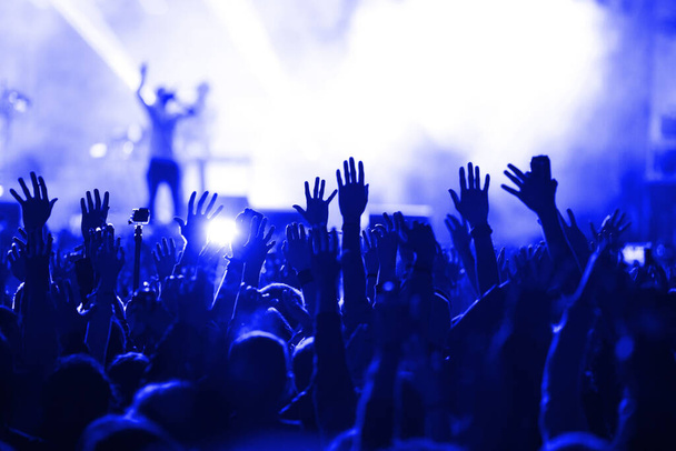 tömeg a koncerten - nyári zenei fesztivál - Fotó, kép