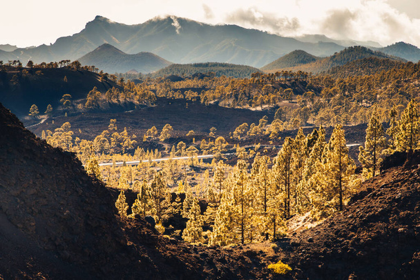 amazing landscape in El Teide national park - Foto, Imagen