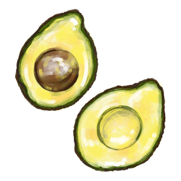Hand drawn realistic avocado illustration. Vegetable illustration for store logo, poster. Print for clothes, textiles. - Foto, Imagen