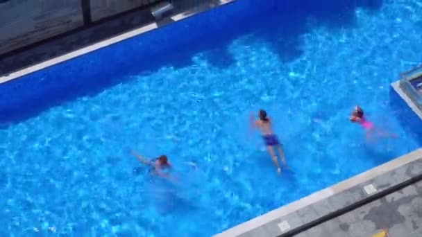 Antenna of friends having fun in pool. Happy young people relax in luxury resort on sunny day. View from above. Girls in bikinis sunbathe in sun. - Footage, Video