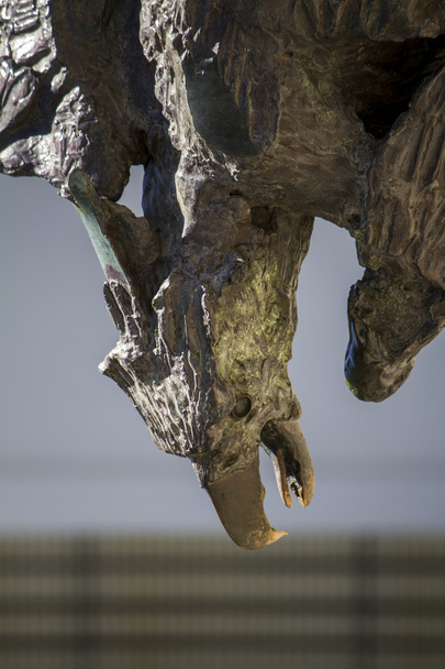 скульптура бронзового орла
. - Фото, зображення