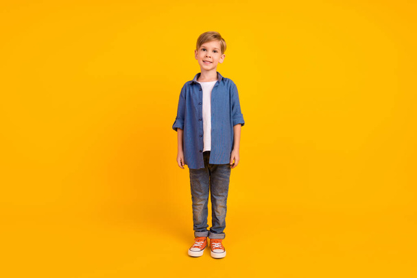Full size portrait of satisfied friendly person standing good mood isolated on yellow color background. - Valokuva, kuva