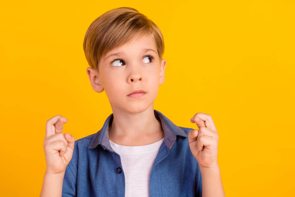 Portrait of schoolboy crossed fingers look interested empty space isolated on yellow color background. - Foto, Imagem