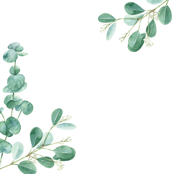 Watercolor frame, eucalyptus leaves. Rustic foliage. Hand drawn botanical illustration isolated on white background. Ideal for stationery, invitations, save the date, wedding, greeting card, baby - Valokuva, kuva