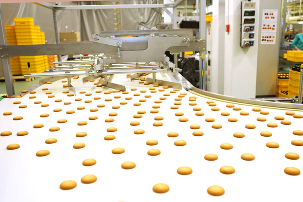 Controlling the work of huge conveyor machine producing spice cakes at the confectionary plant. Cookie production line. Innovative biscuit production.. - Foto, Imagen