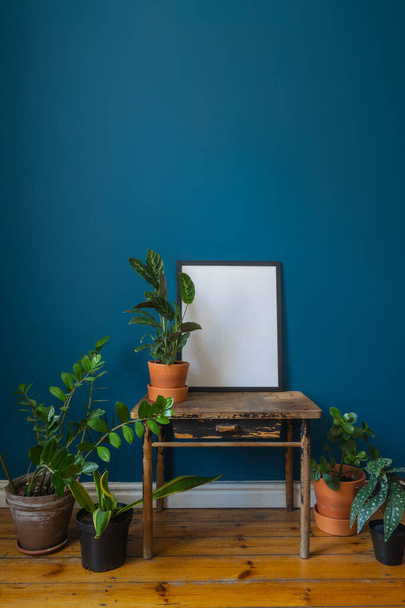 богемний стиль інтер'єру у вітальні з вінтажним бічним столом, горщиками кімнатних рослин, макетним малюнком в чорній рамці, синьою стіною та дерев'яною підлогою
 - Фото, зображення