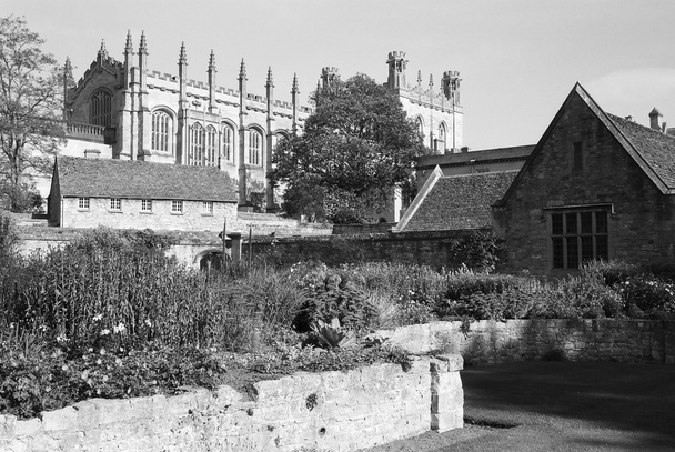christchurch kathedrale mit gärten - Foto, Bild