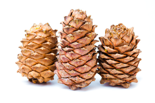 Small group of cones combined on a white background - Foto, immagini