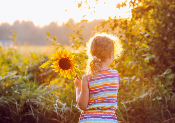 Back view of unrecognizable 6 year old girl child holding a sunflower while sun is setting on golden hour on summer day. Carefree childhood concept. - Foto, Bild