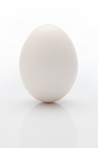 біле яйце
 - Фото, зображення