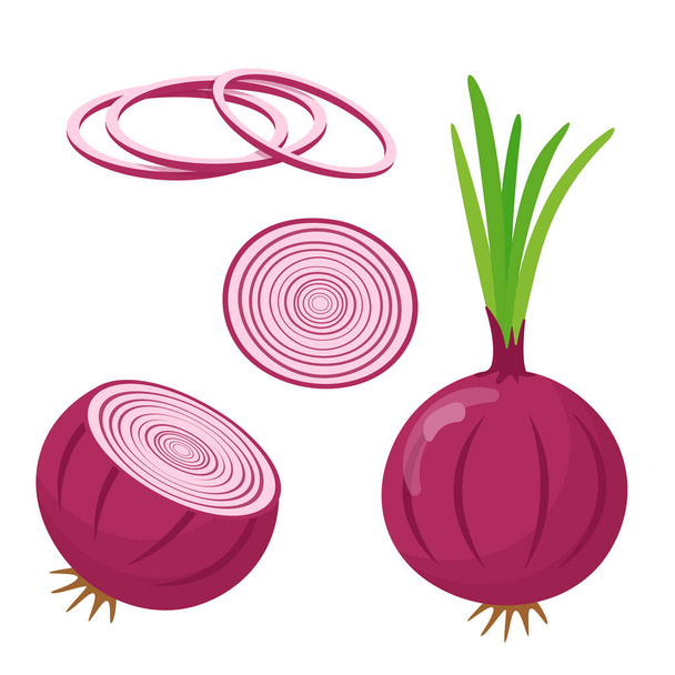 Red onion cut and whole isolated on white background, flat style. - Vektori, kuva