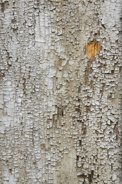 Vieille planche de bois fissurée avec peinture - mur
 - Photo, image