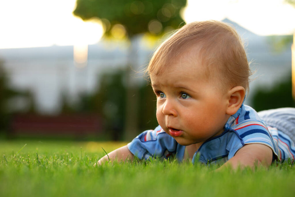 Baby, little boy sitting on the lawn, in the park or in the backyard, on a warm summer day. - Foto, immagini