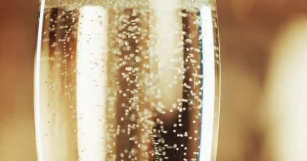 Champagne, alcohol and bubbly booze in glass to cheers, toast and celebrate with for anniversary, valentines date or birthday. Closeup, detail and texture of bubbles moving in drink beverage. - Materiał filmowy, wideo