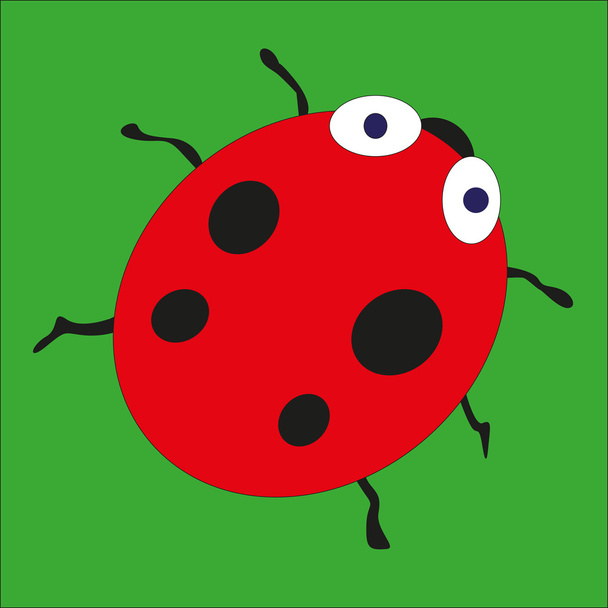 Cartoon heldere lieveheersbeestje op de groene achtergrond - Vector, afbeelding