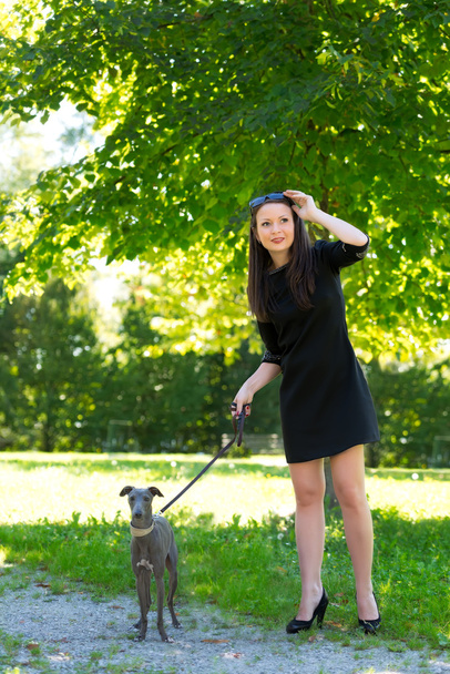 Young girl  with greyhound in the park - Фото, зображення