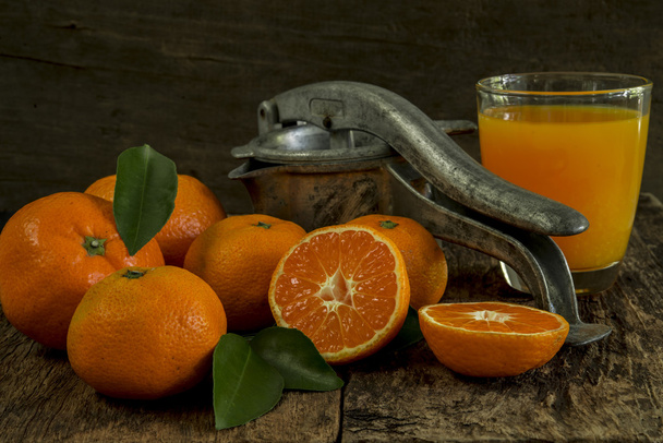 still life tangerines and juicer - Photo, Image