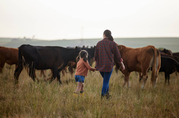 Cow farmer, mother and girl on farm, agriculture nature or cattle sustainability countryside field. Family bonding and working on healthy environment for cattle in meat, beef or food industry. - 写真・画像