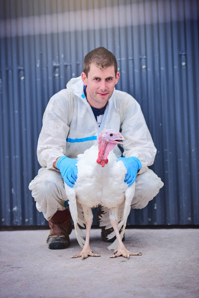 You wont find better turkeys anywhere else. Portrait of a young man holding a turkey at a poultry farm - Foto, afbeelding