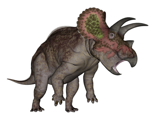 Triceratops Dinosaurier im Stehen - 3D Render - Foto, Bild