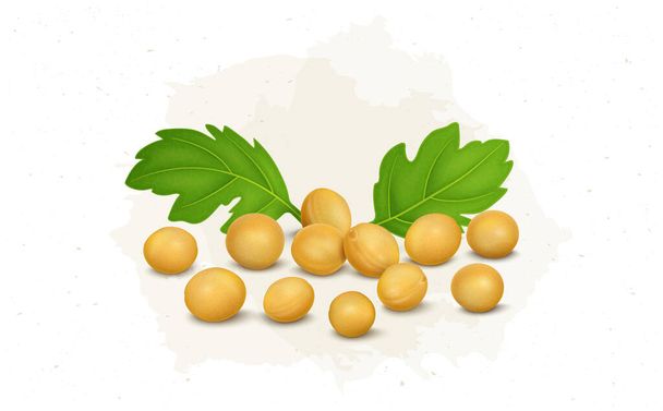 Yellow Mustard Seeds vector illustration with green leaves - Vector, Image