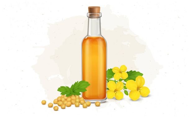 Mustard Oil with mustard seed and flower vector illustration - Vektor, Bild