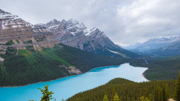 Lake Peyto in Banff National Park, Canada. Mountain Lake as a fox head is popular among tourists in Canada driving the icefields parkway. - Fotó, kép