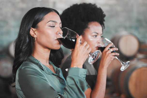 Women, wine tasting and drinking alcohol from glass in farm room, winery estate and local countryside distillery. Black friends, connoisseurs and sommeliers bonding and enjoying vineyard red merlot. - Photo, Image