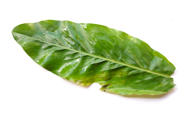 close up and top view fresh galangal leaf vegetables isolate on a white background - Foto, Imagem