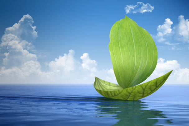 Sailboat made of green leaves  - Foto, Imagem