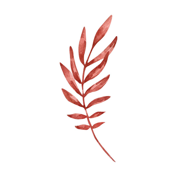 Watercolor illustration of branch with red leaves isolated on white background - Foto, immagini