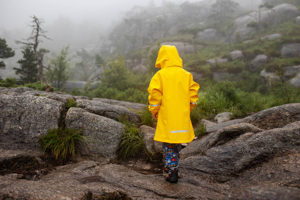 Family, enjoying the hike to Preikestolen, the Pulpit Rock in Lysebotn, Norway on a rainy day, toddler climbing with his pet dog the one of the most scenic fjords in Norway - Fotoğraf, Görsel