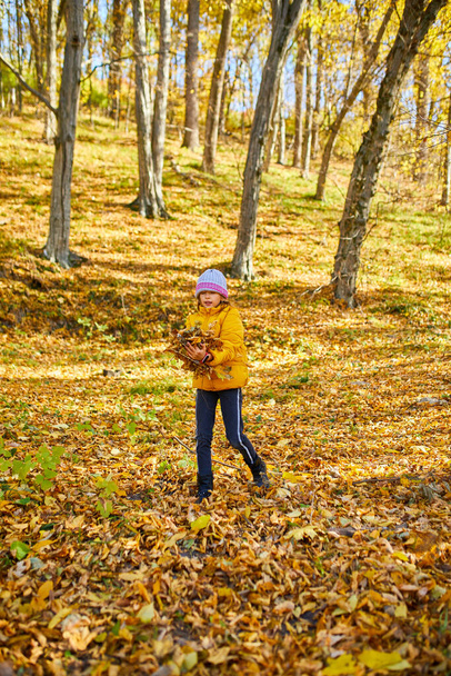 Happy adorable child girl laughing and playing yellow fallen leaves in autumn outdoors, Happy moment - Photo, Image